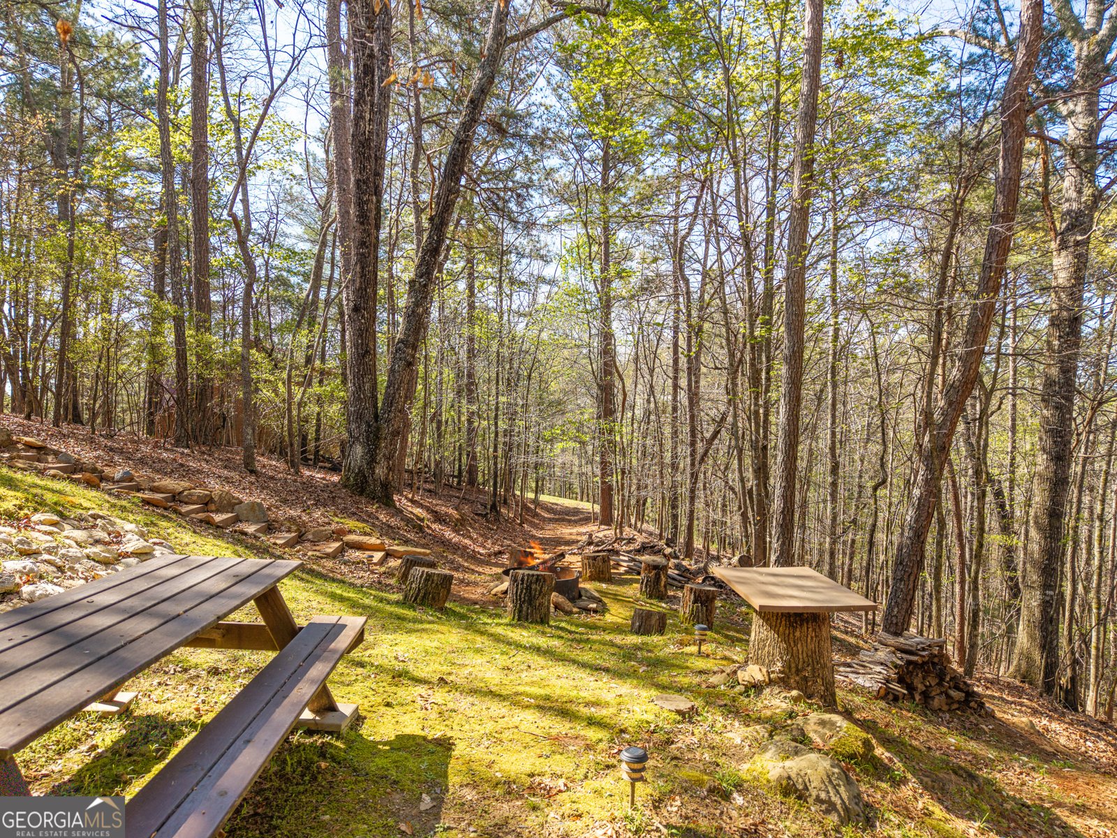 144 Monet Drive Ellijay - Photo 8