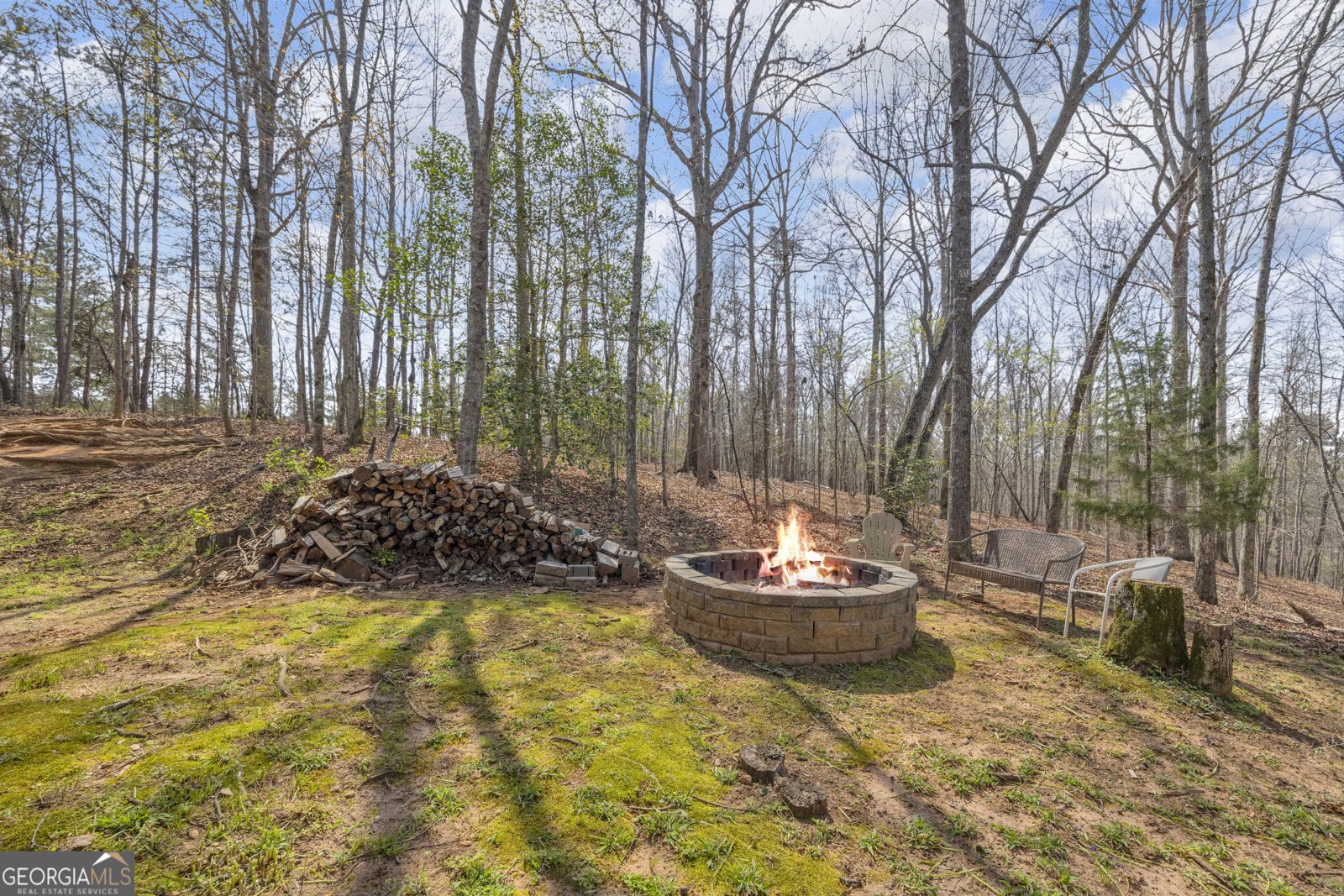 234 Old River Road Cornelia - Photo 33