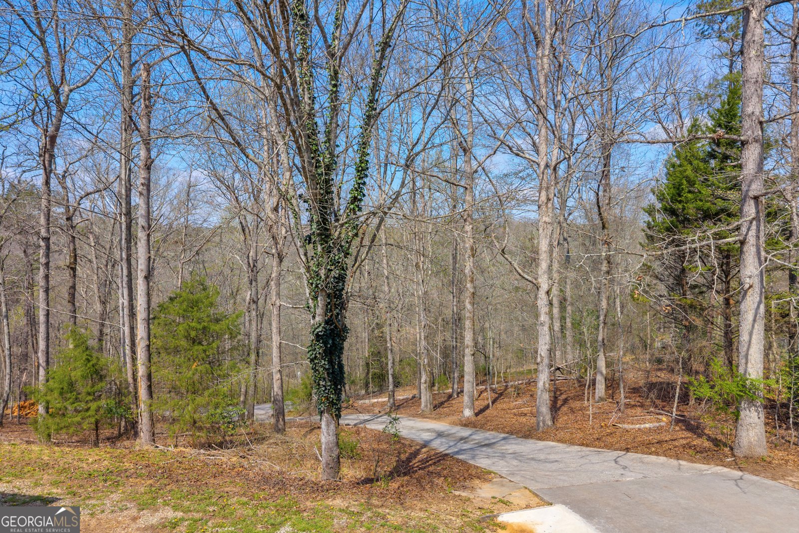 234 Old River Road Cornelia - Photo 36