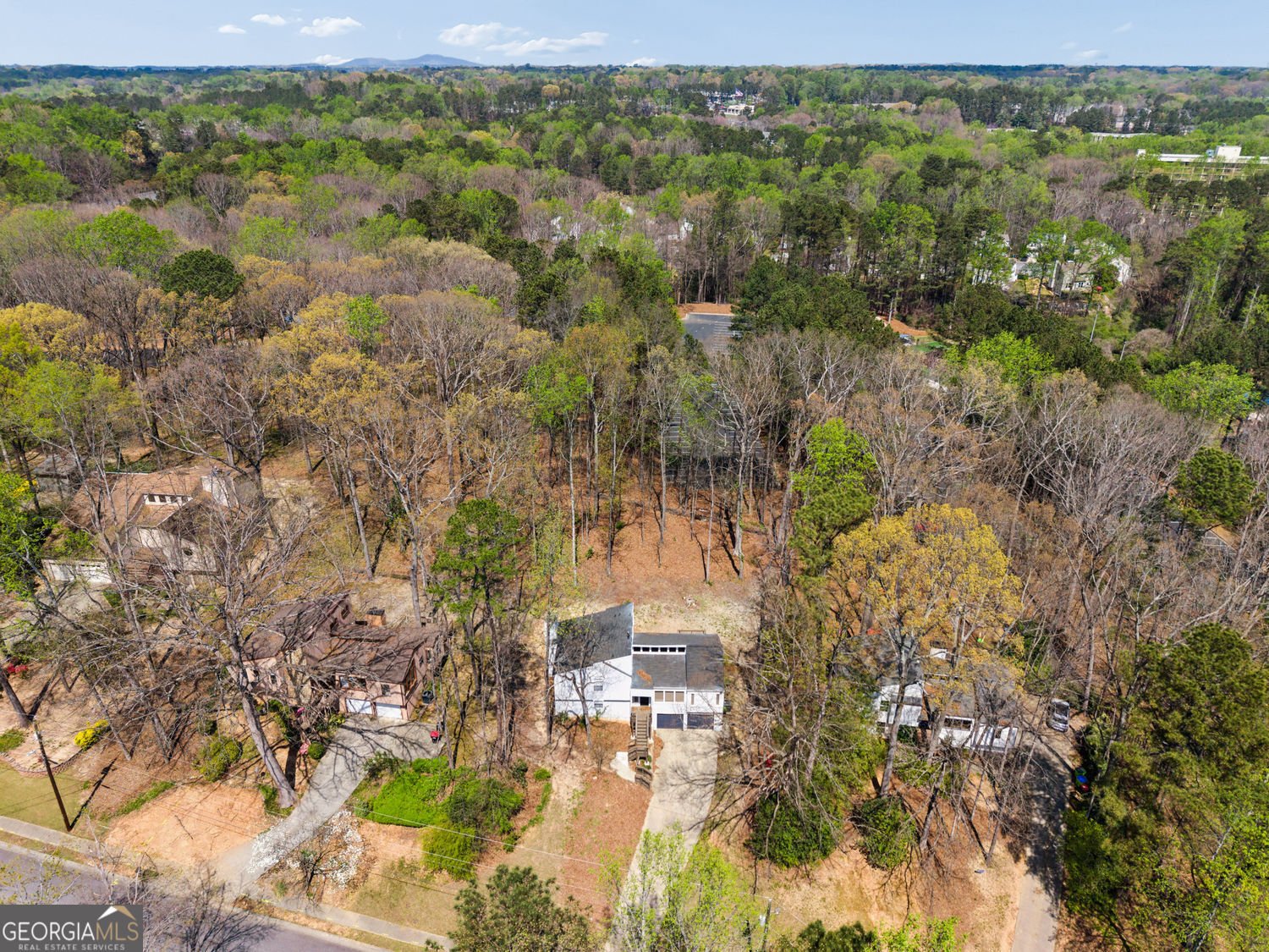 1309 Laurel Cliff Drive Smyrna - Photo 44