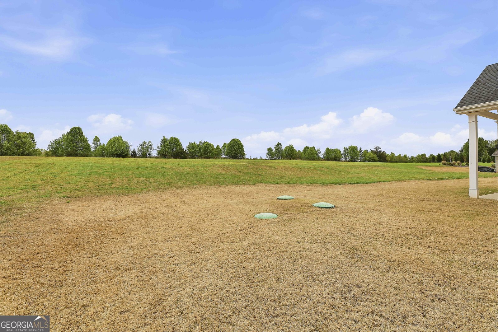 66 Chapman Farm Road Senoia - Photo 43