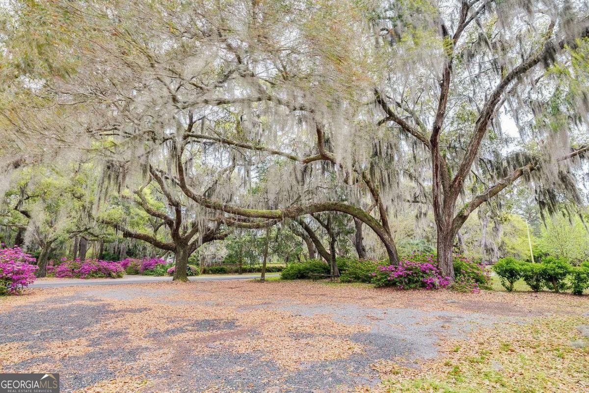 8987 Ferguson Avenue Savannah - Photo 29