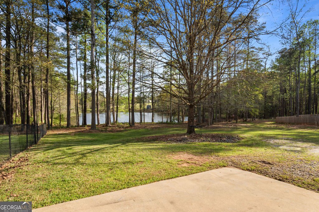 20 Dads Walk Newnan - Photo 58