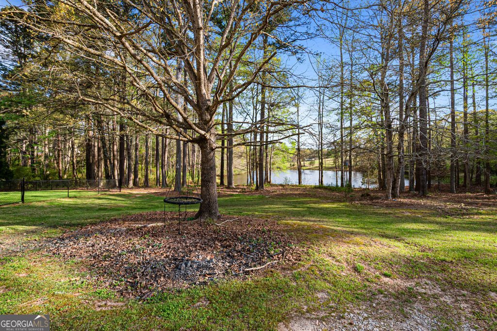 20 Dads Walk Newnan - Photo 60