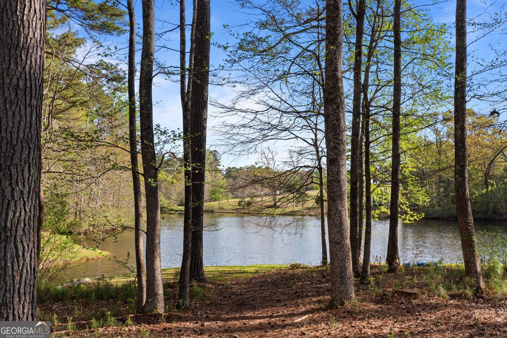 20 Dads Walk Newnan - Photo 62