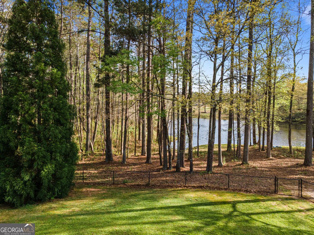 20 Dads Walk Newnan - Photo 79