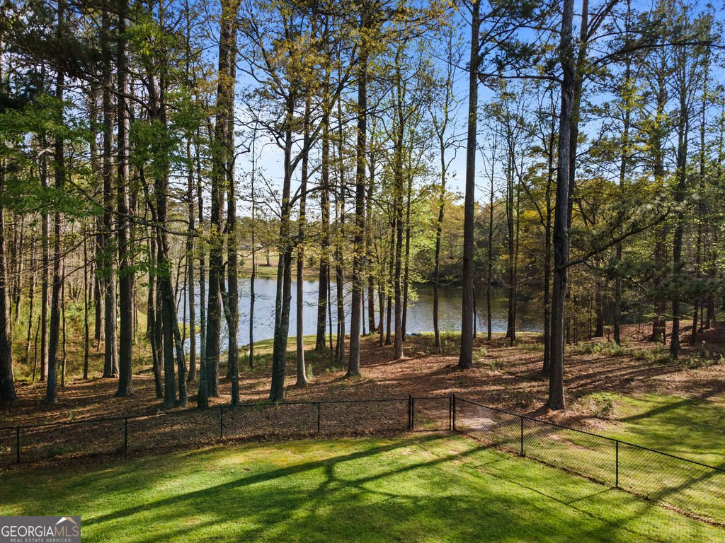 20 Dads Walk Newnan - Photo 80