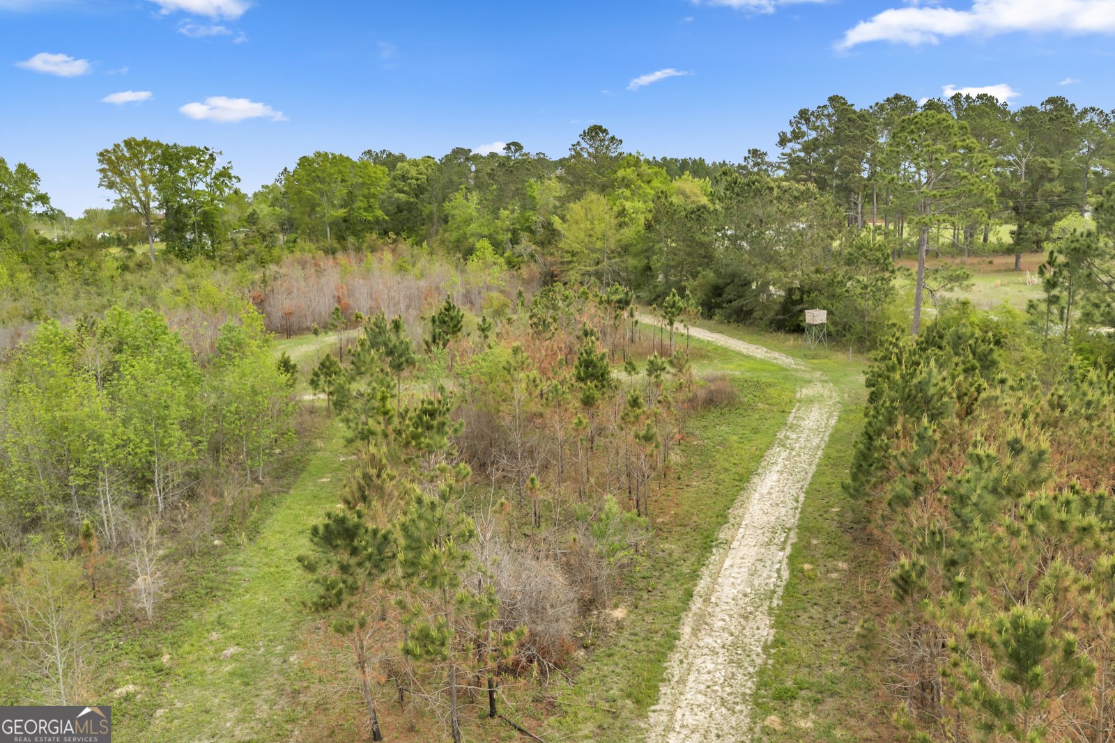 3341 Worth Co Line Road Albany - Photo 82