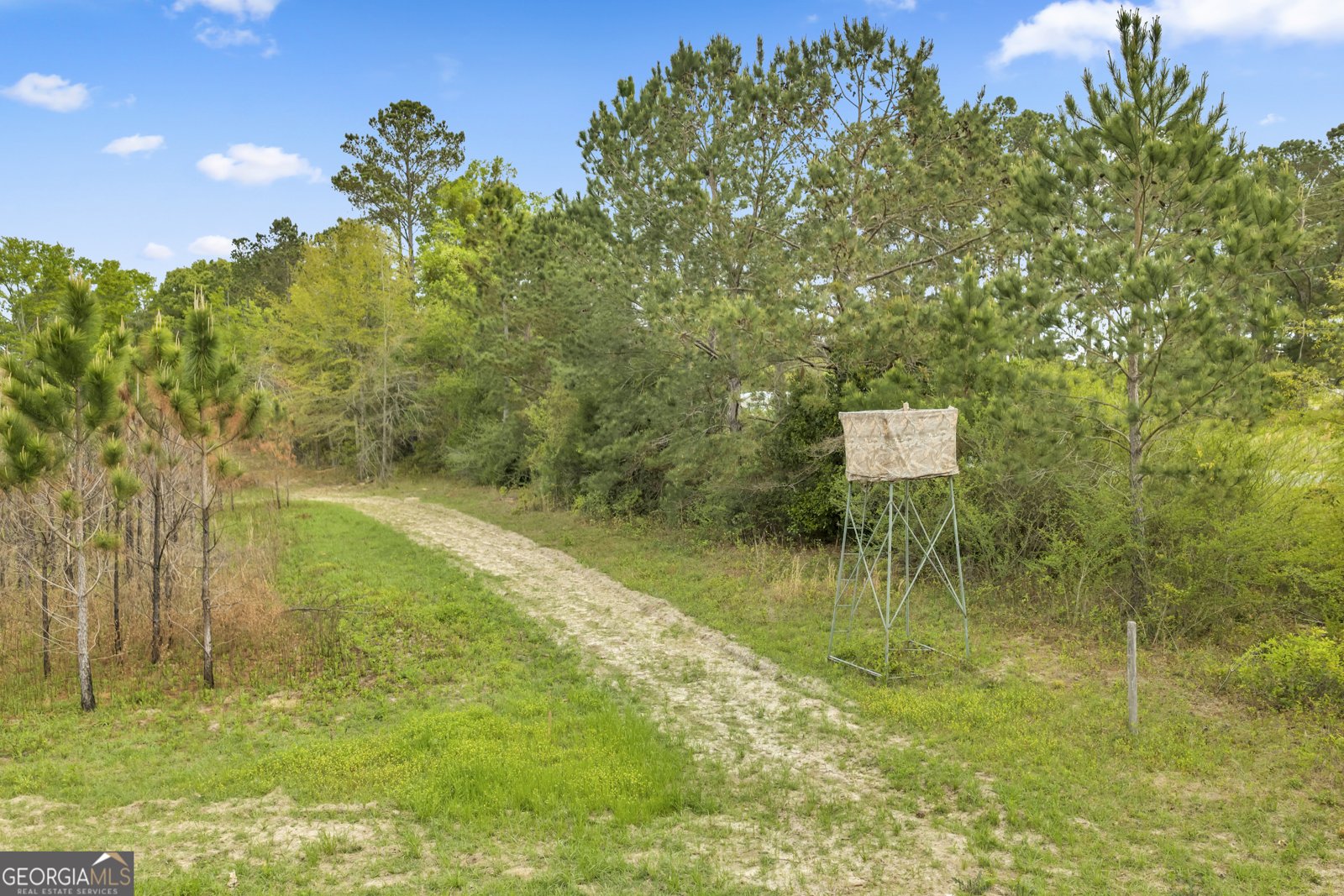 3341 Worth Co Line Road Albany - Photo 83