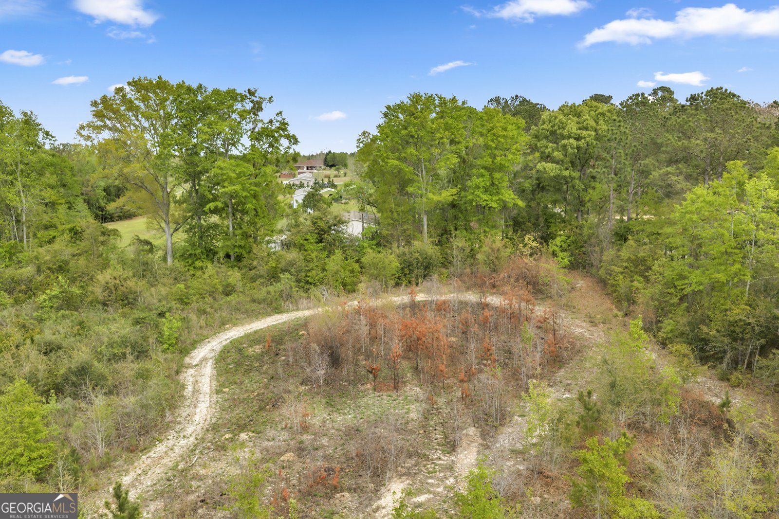 3341 Worth Co Line Road Albany - Photo 84