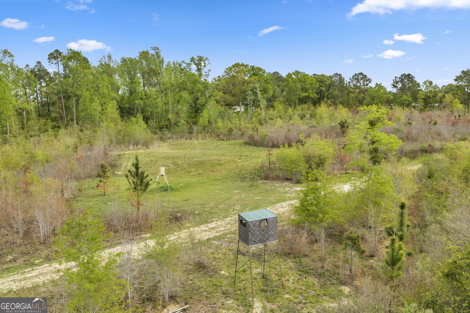 3341 Worth Co Line Road Albany - Photo 86