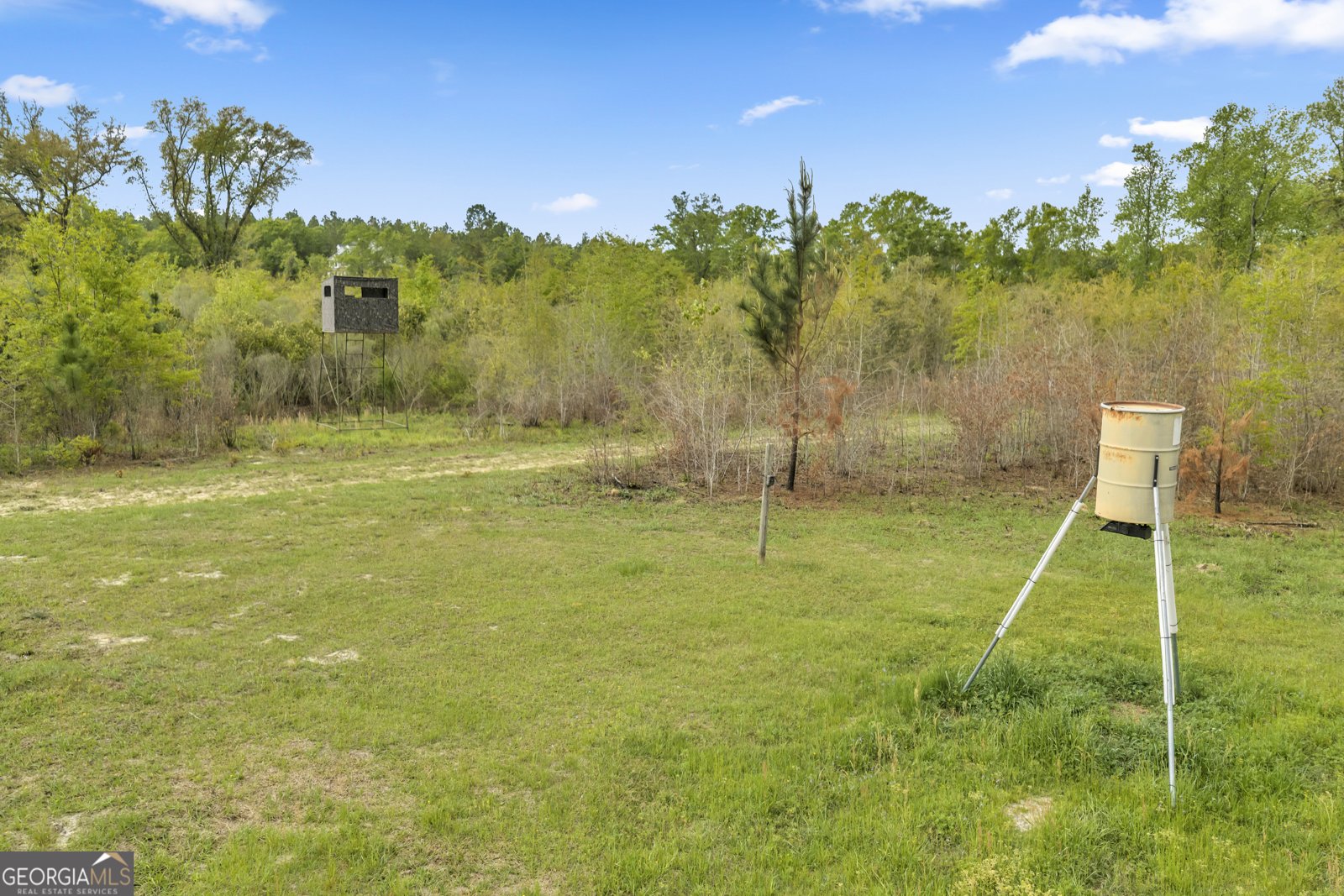 3341 Worth Co Line Road Albany - Photo 87