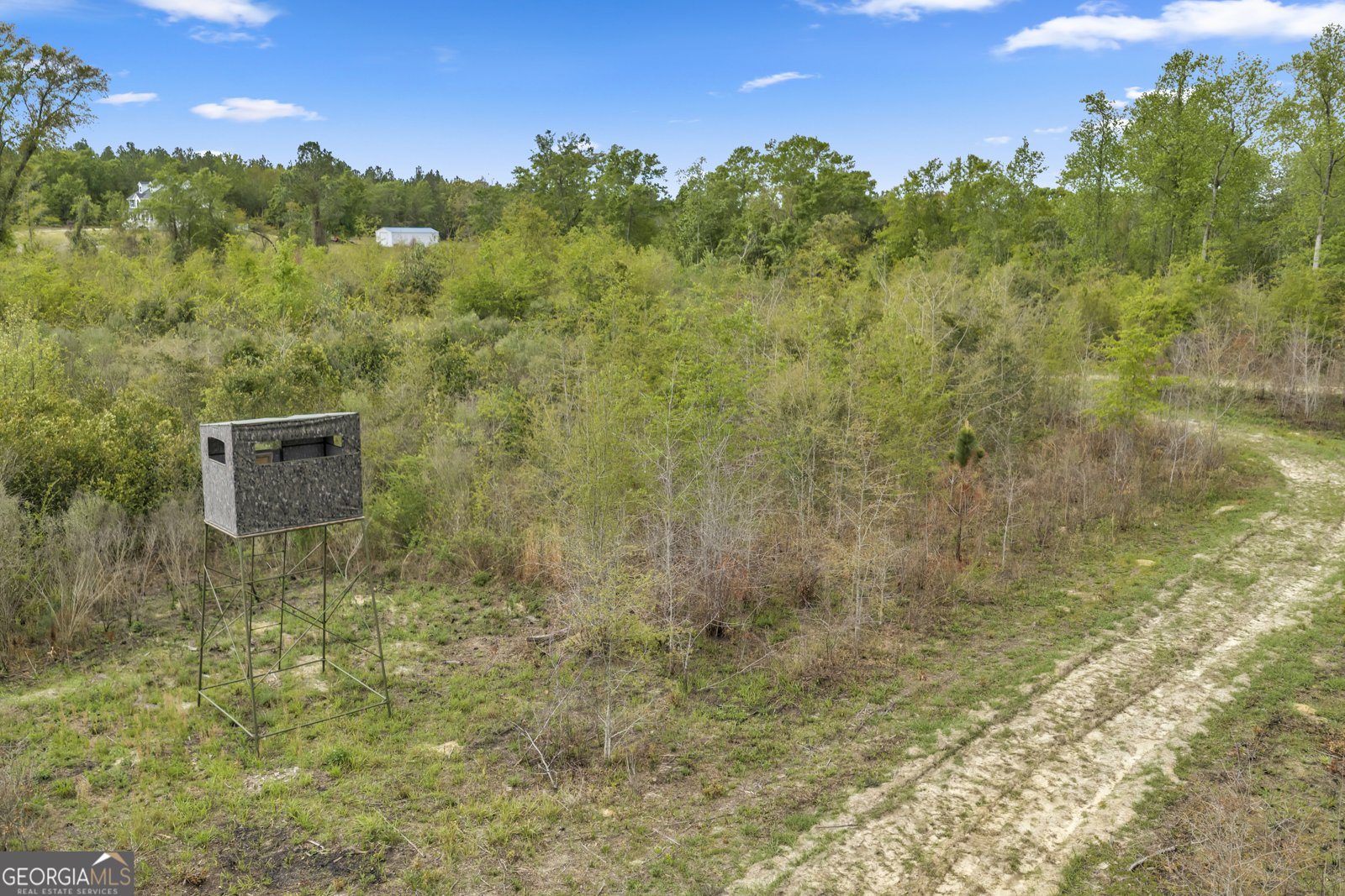 3341 Worth Co Line Road Albany - Photo 88