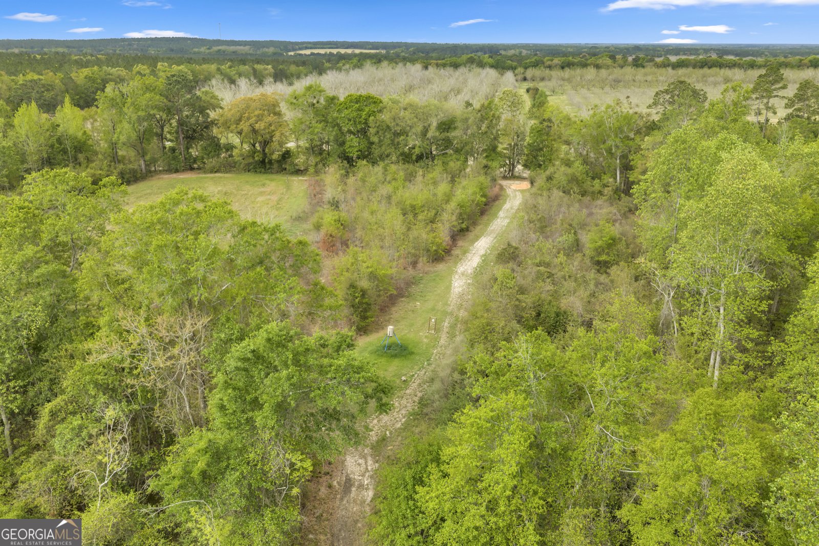 3341 Worth Co Line Road Albany - Photo 89