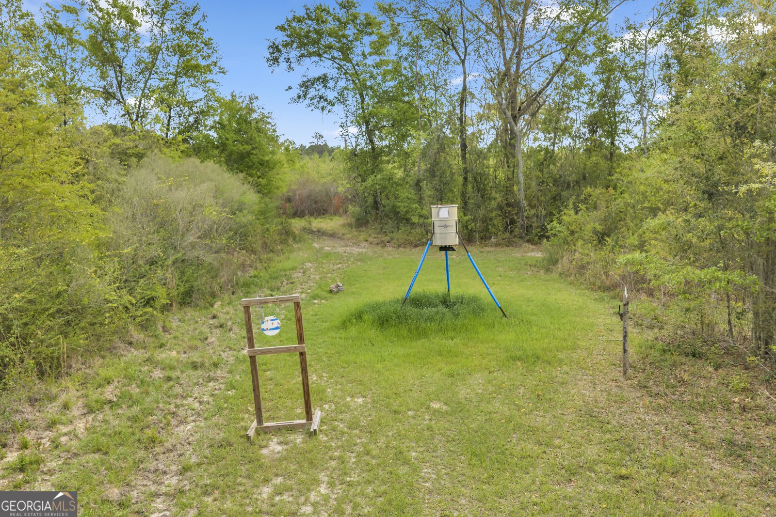 3341 Worth Co Line Road Albany - Photo 90