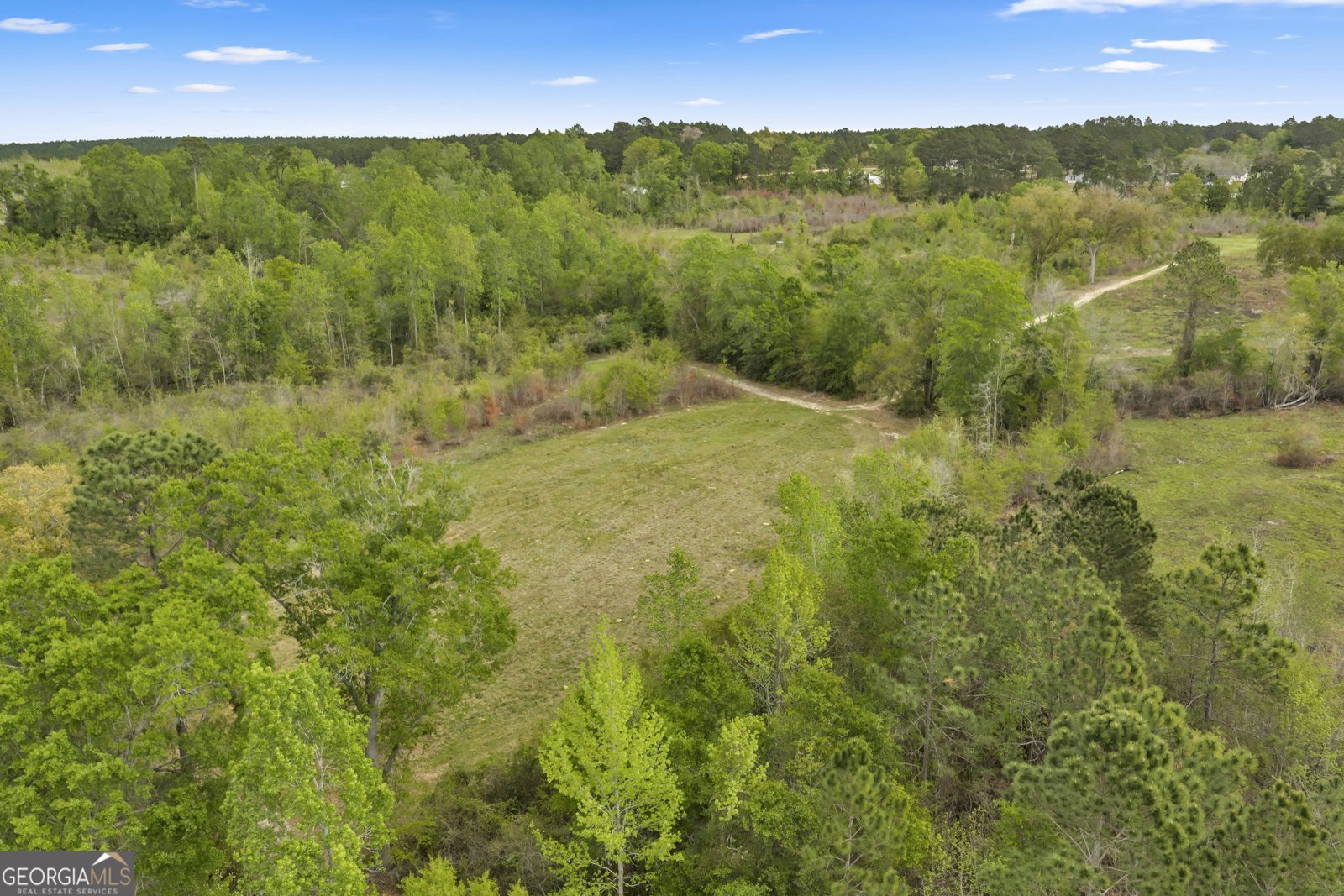 3341 Worth Co Line Road Albany - Photo 92