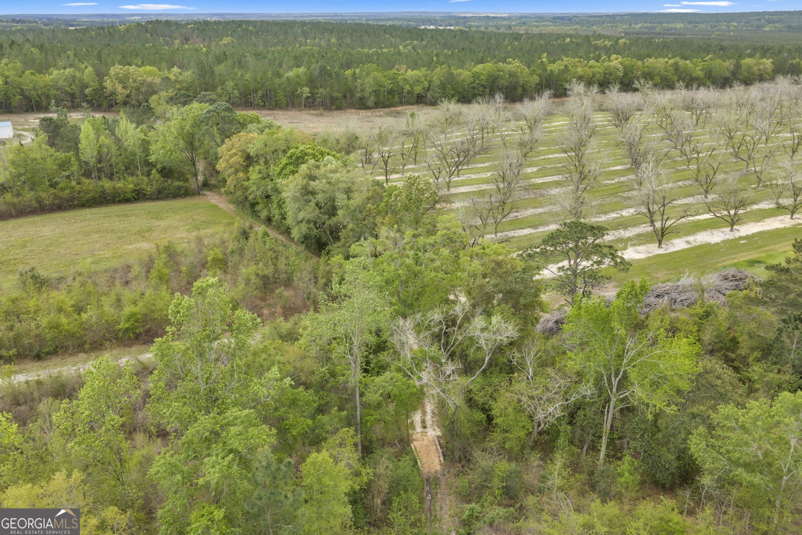 3341 Worth Co Line Road Albany - Photo 94