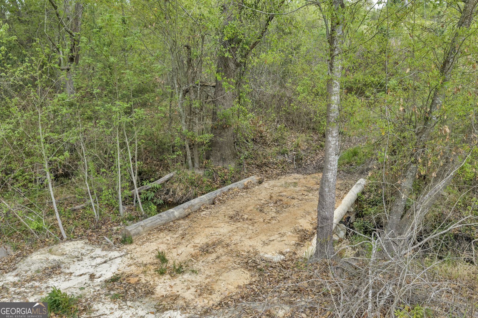 3341 Worth Co Line Road Albany - Photo 95