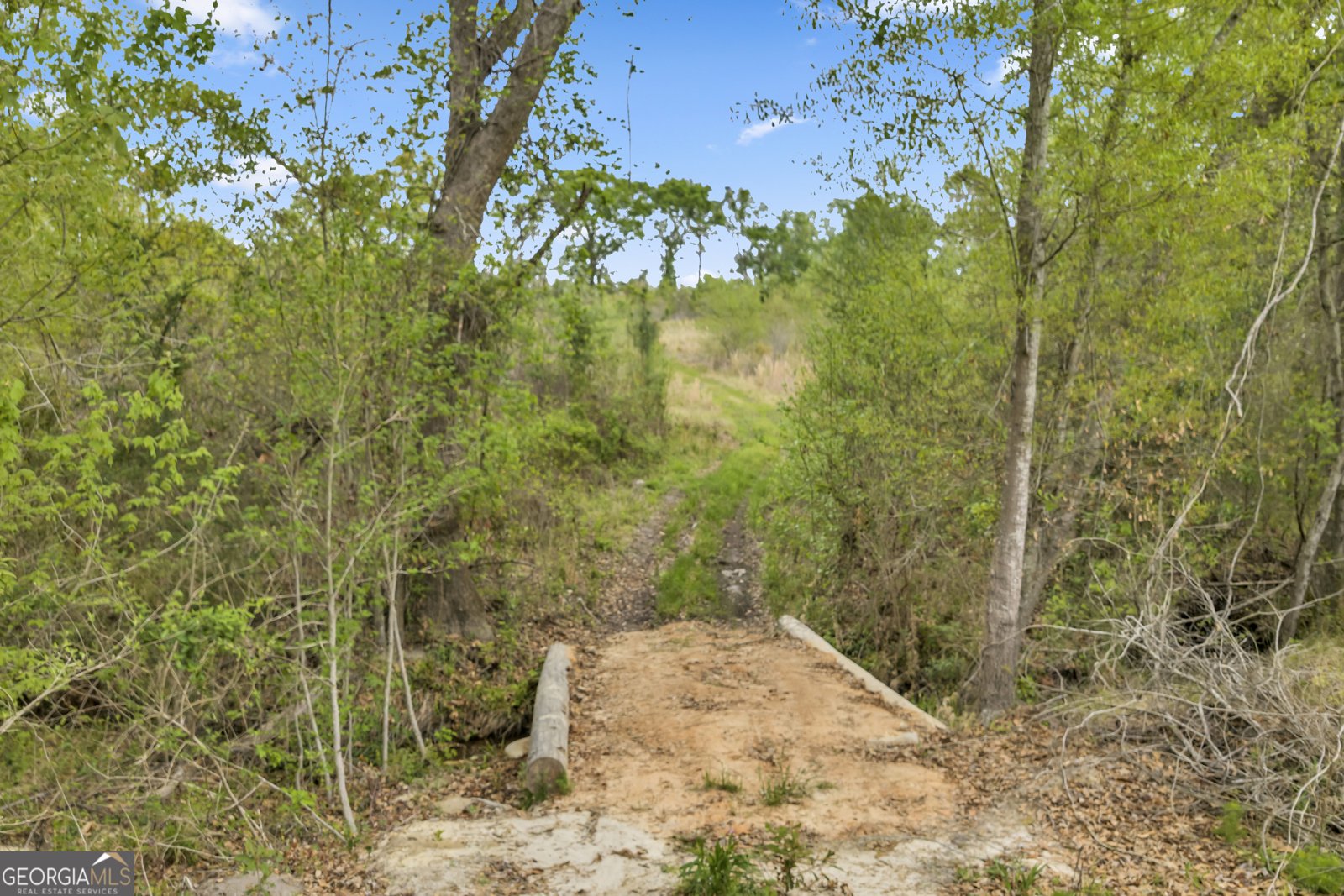 3341 Worth Co Line Road Albany - Photo 96