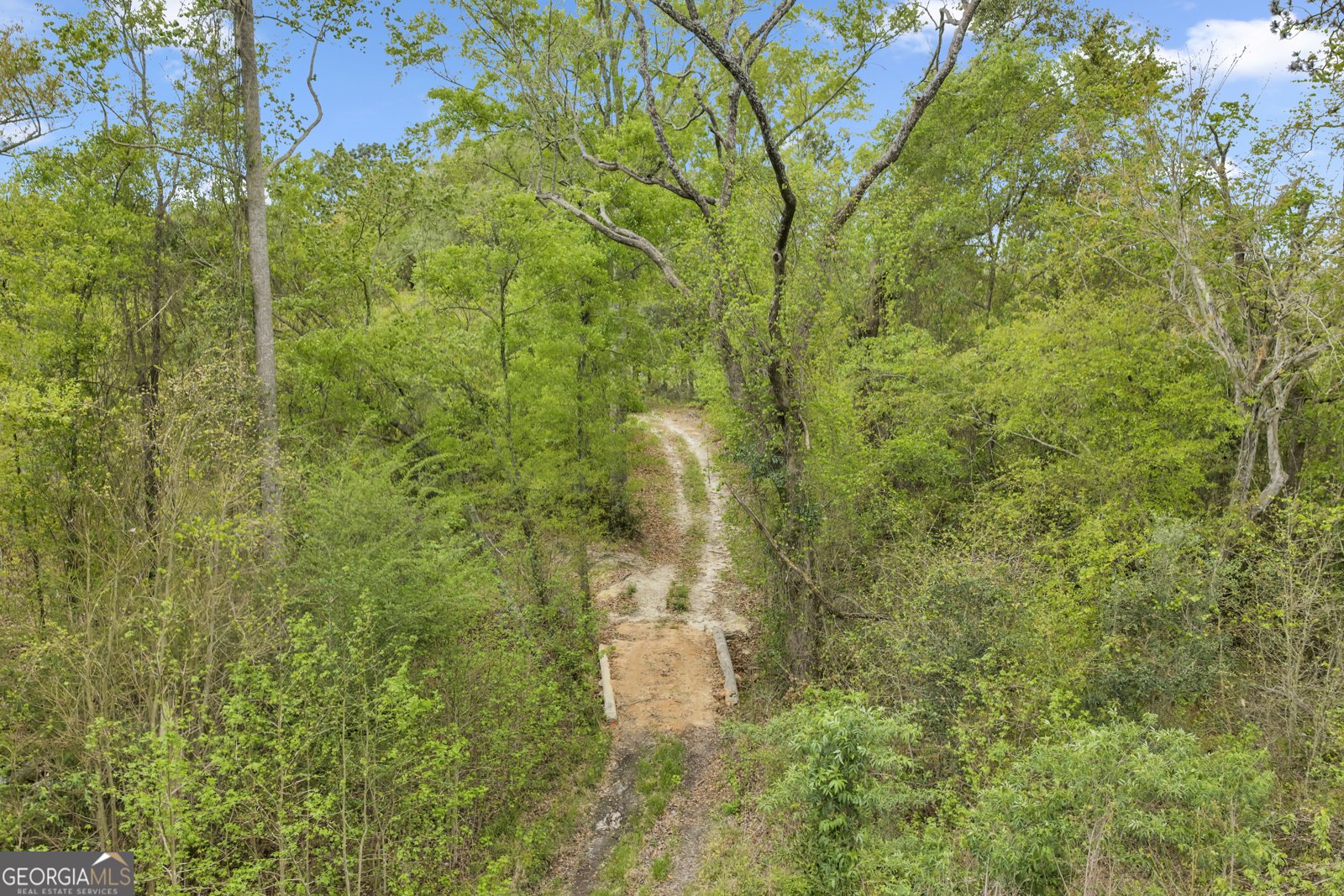 3341 Worth Co Line Road Albany - Photo 97