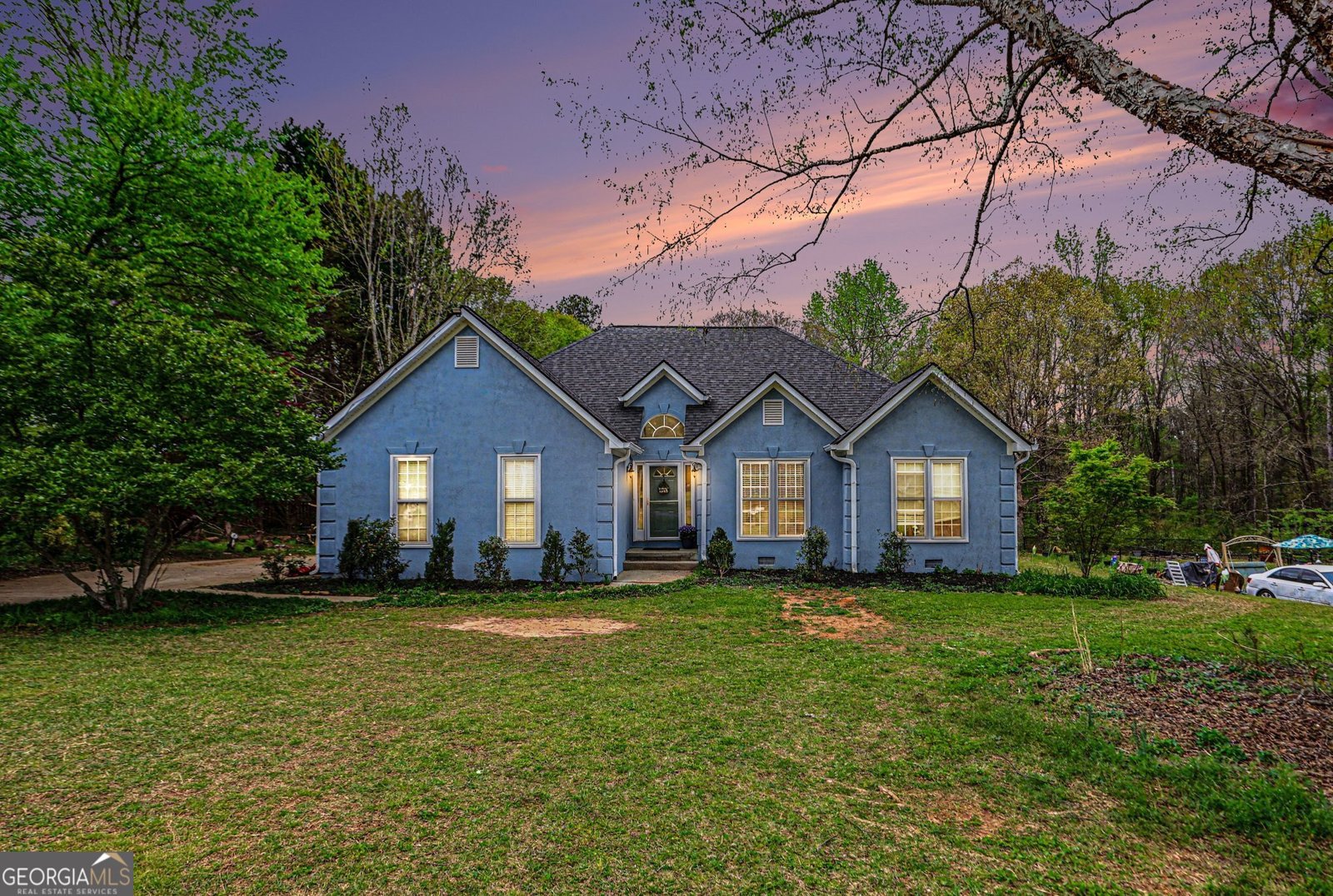 55 Melba Court Senoia - Photo 1