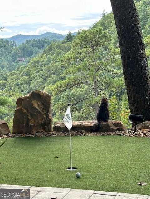 172 Star Mountain Drive Clayton - Photo 37