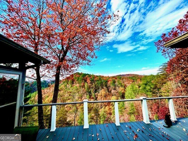 172 Star Mountain Drive Clayton - Photo 42