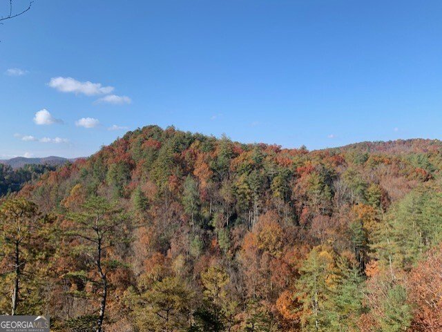 172 Star Mountain Drive Clayton - Photo 47