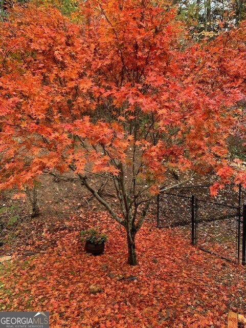 172 Star Mountain Drive Clayton - Photo 55