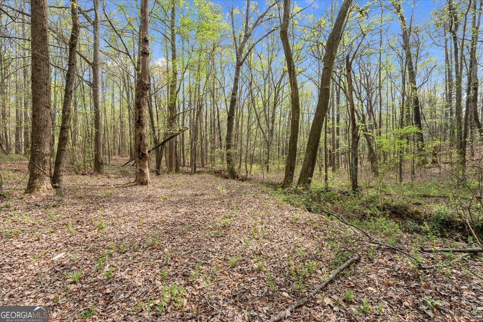 301 Highway 5 East Roopville - Photo 48