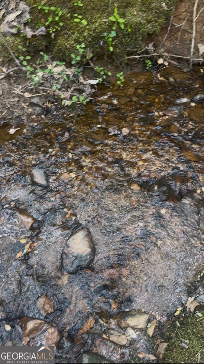 301 Highway 5 East Roopville - Photo 49