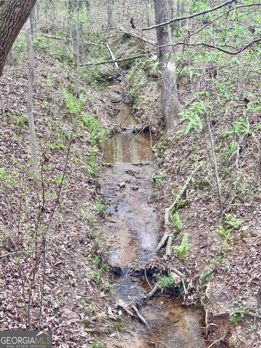 301 Highway 5 East Roopville - Photo 50