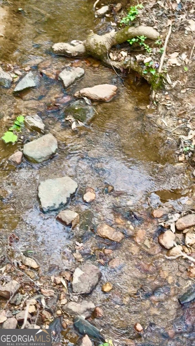 301 Highway 5 East Roopville - Photo 58