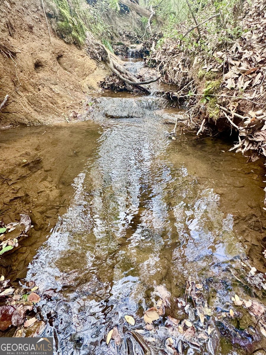 301 Highway 5 East Roopville - Photo 60