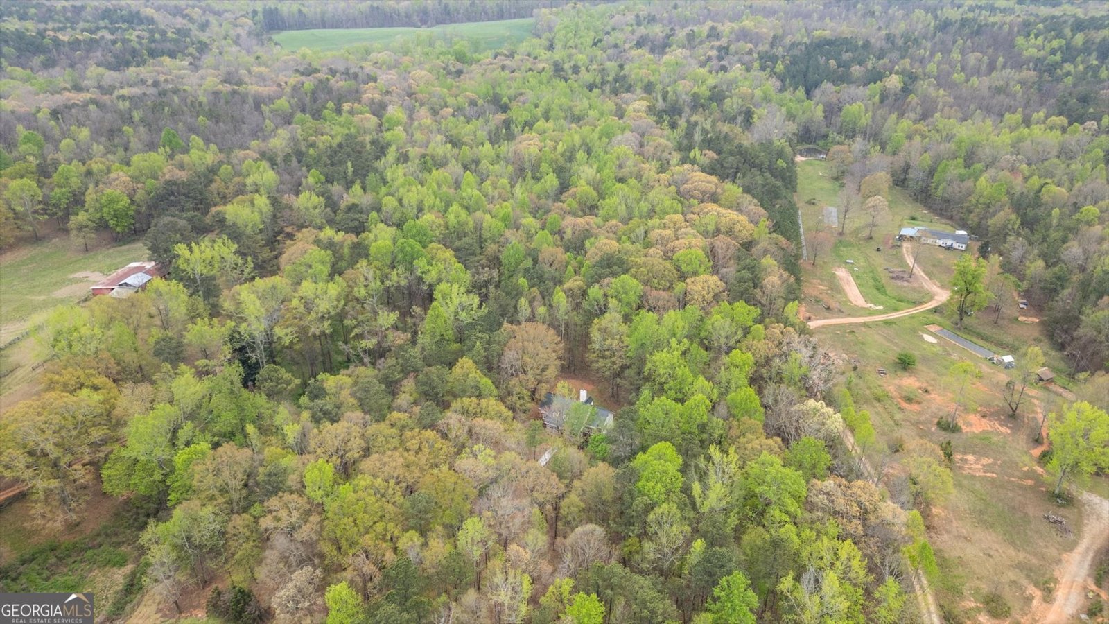 301 Highway 5 East Roopville - Photo 67