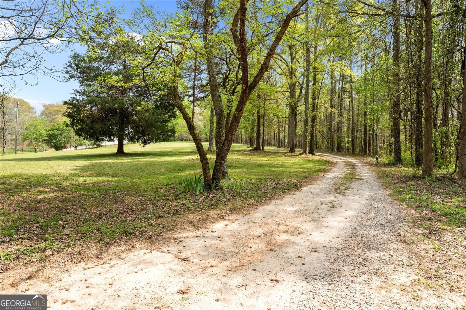 301 Highway 5 East Roopville - Photo 8