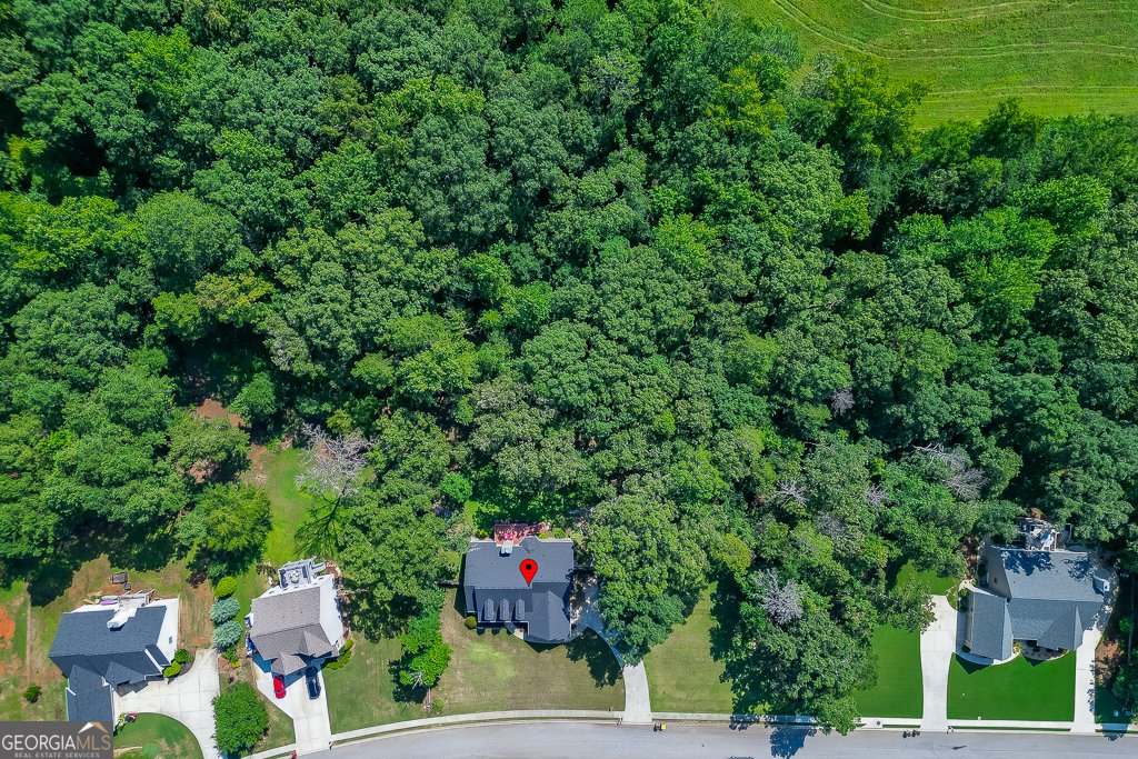 2858 Shadowstone Way Winder - Photo 52