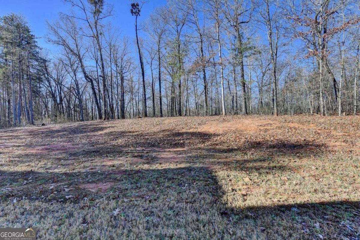 476 Christmas Tree Road Homer - Photo 73