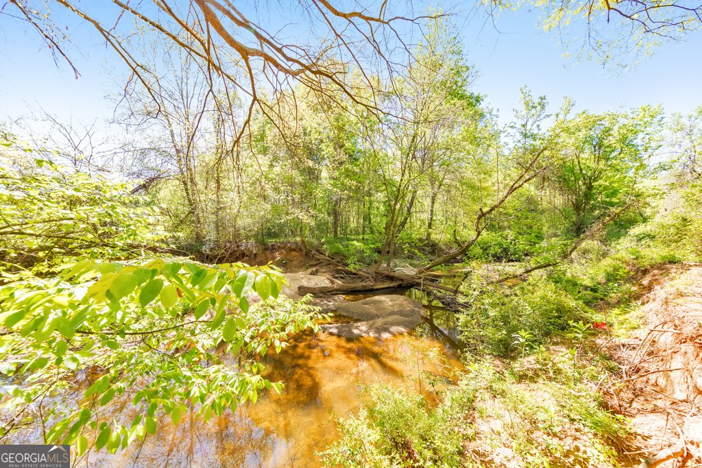 358 Nature Brook Walk Smyrna - Photo 60