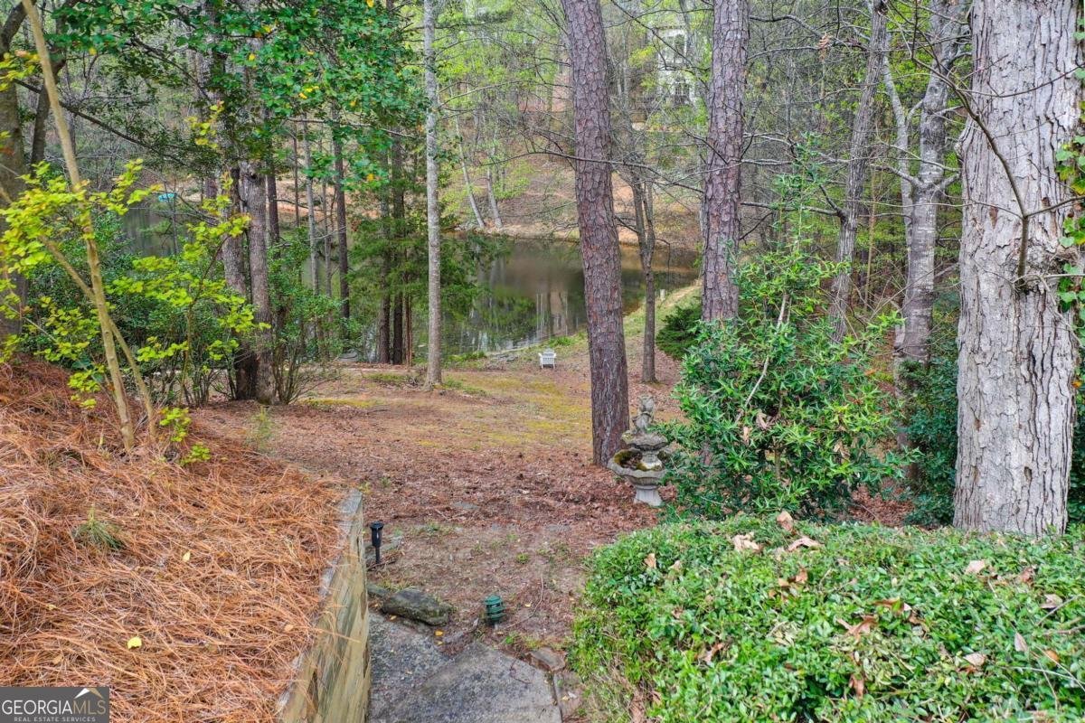 940 Waters Reach Court Alpharetta - Photo 66