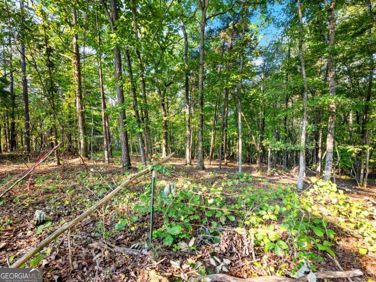 310 Georgian Terrace Alto - Photo 31