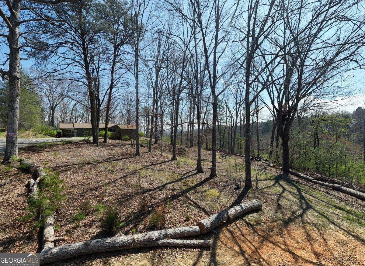 56 England Lane Blairsville - Photo 43