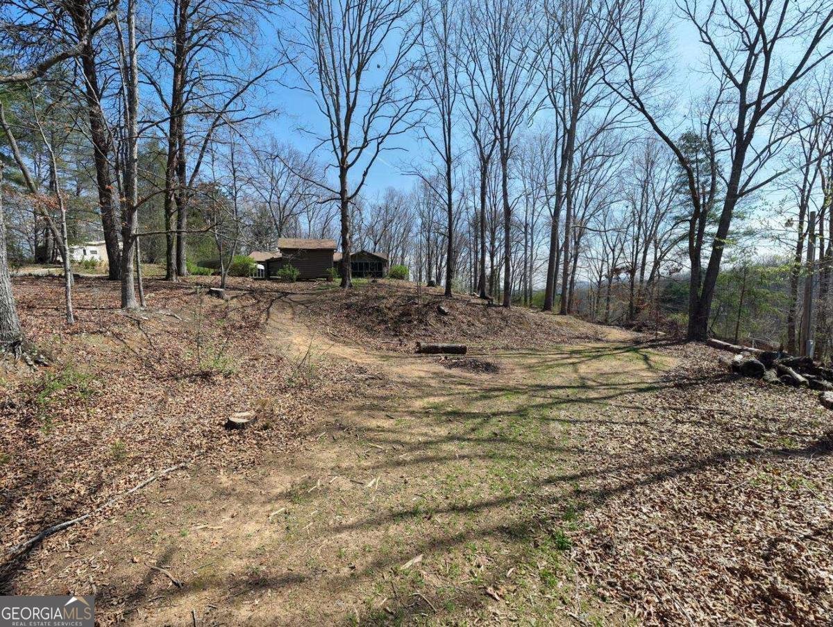 56 England Lane Blairsville - Photo 44