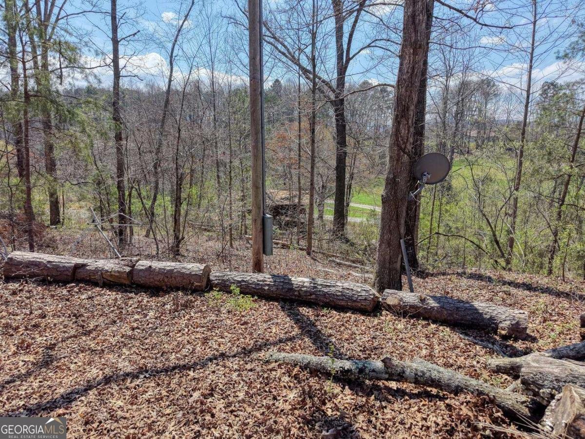 56 England Lane Blairsville - Photo 45