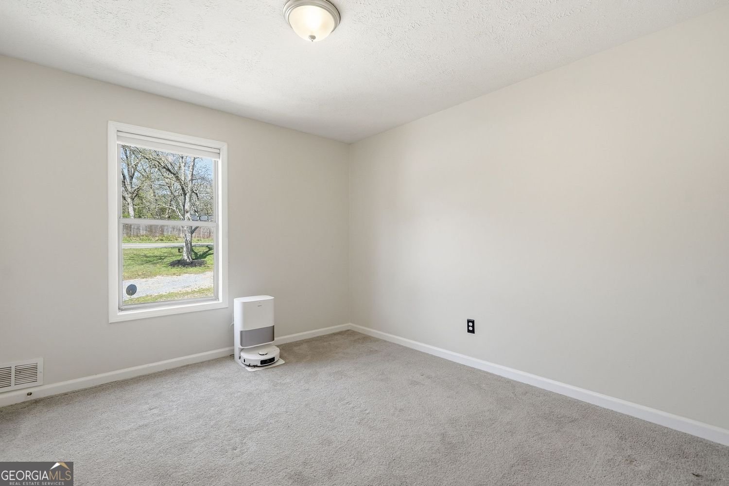 1160 Toonigh Road Canton - Photo 21