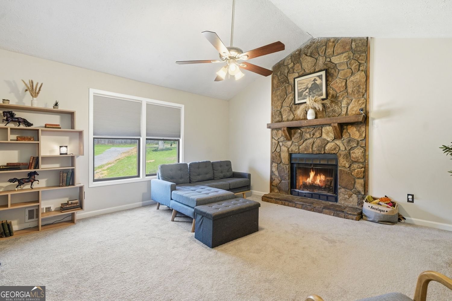 1160 Toonigh Road Canton - Photo 9