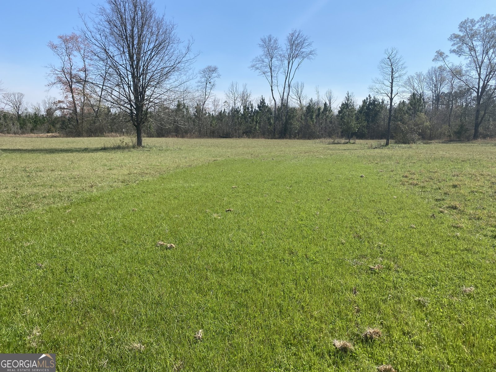 1229 Pierce Road Waverly Hall - Photo 27