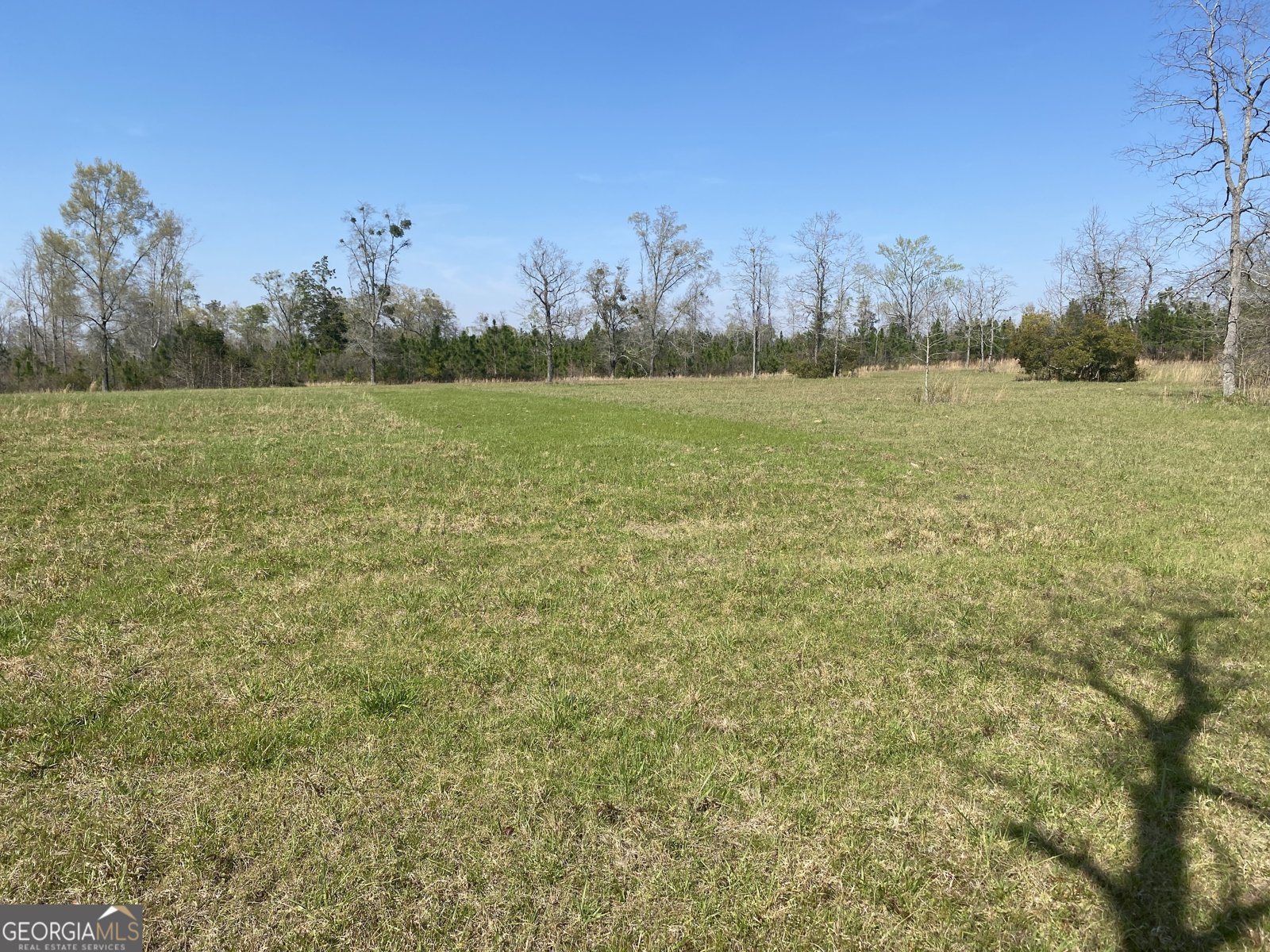 1229 Pierce Road Waverly Hall - Photo 28