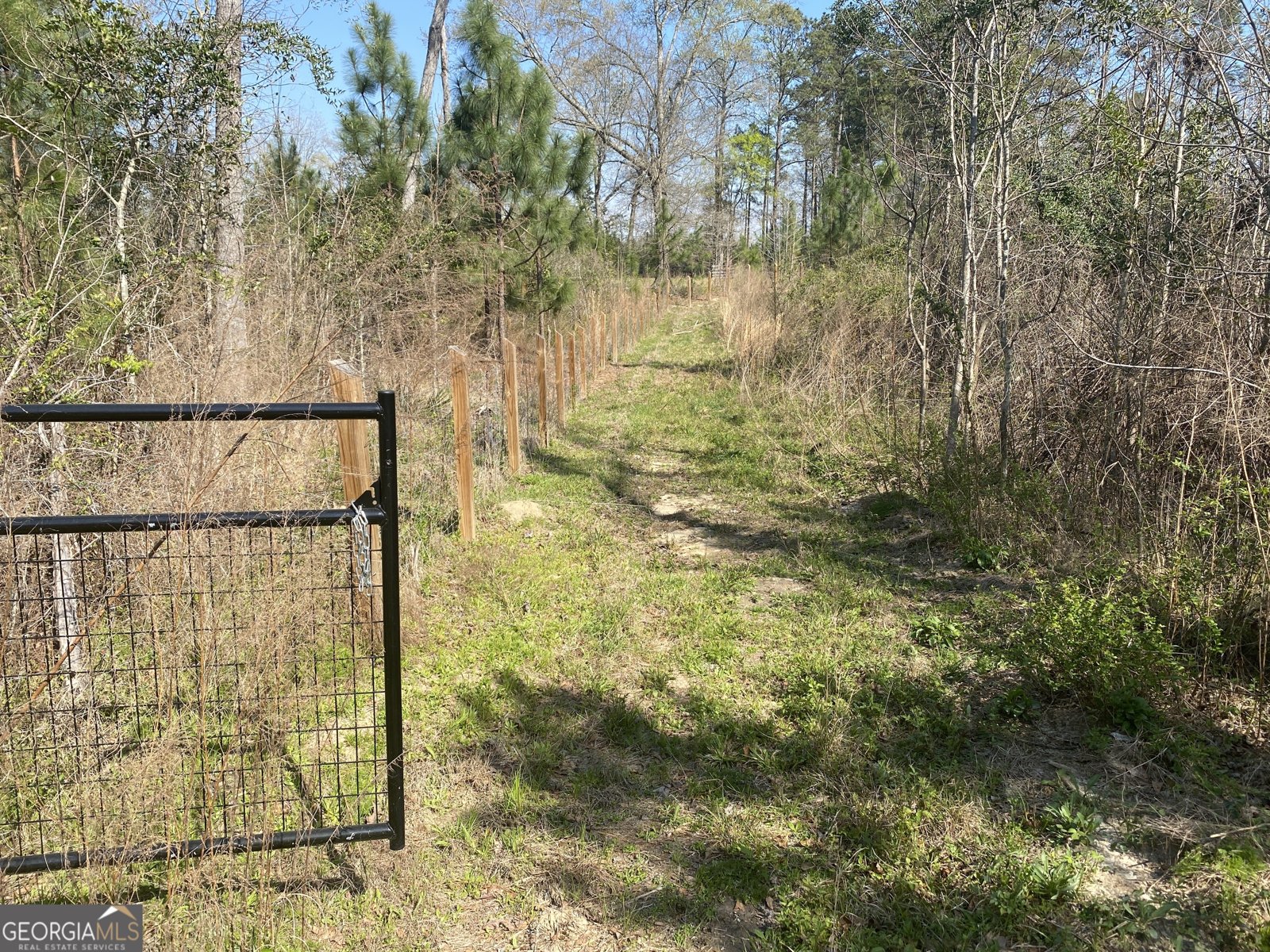 1229 Pierce Road Waverly Hall - Photo 29