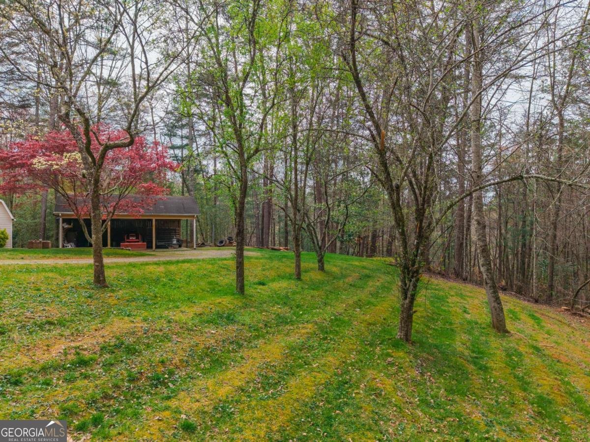 365 Quarles Lane Ellijay - Photo 33